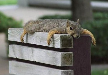 chillin