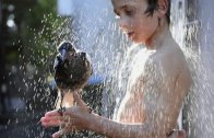 ‘Adopted’ magpie taking a shower