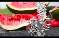 Watermelon vs molten aluminum
