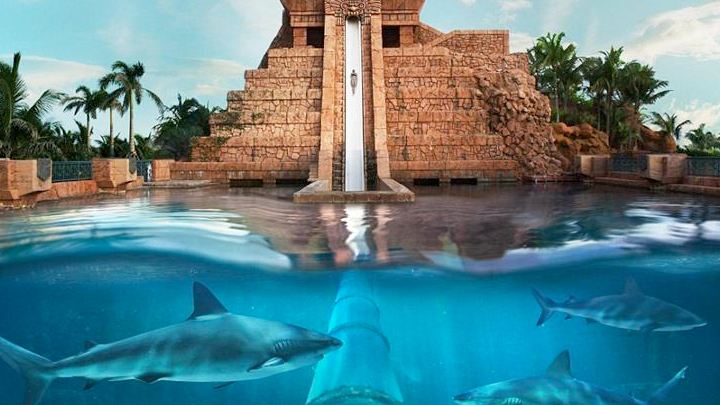 Top Motorcycle Records