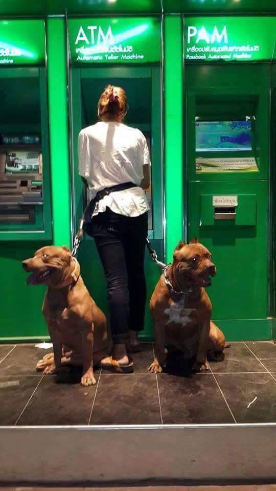Using the ATM at night