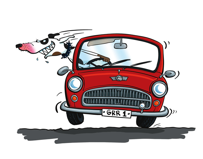 Dog driver playing with a toddler