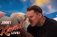 Channing Tatum and the kitten