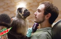 Puppy Monkey Baby Mountain Dew Ad