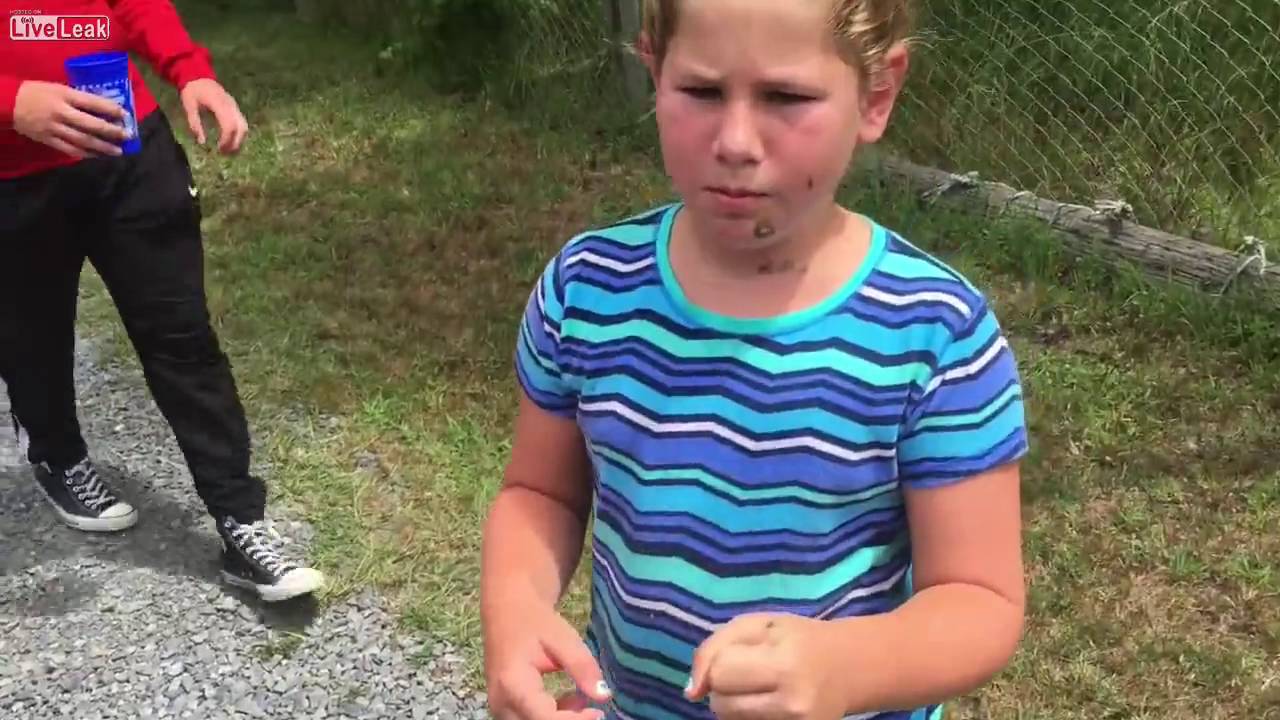 Monkey throws poop at kids