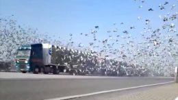 Epic scenes you won’t believe