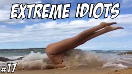 Idiots of the Internet