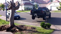 Pick Ups vs Tree Stumps