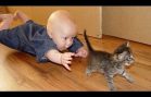 Cats Annoying Babies Compilation